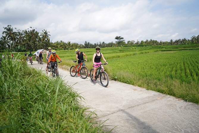 Explore Ubud with Electric Bike - Stop 2: Tegalalang Rice Terrace Picture Break While You Ride