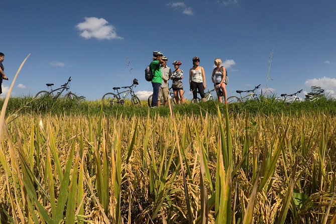 Explore Ubud with Electric Bike - What’s Included for $34: Food, Gear, and Queue-Saving Convenience