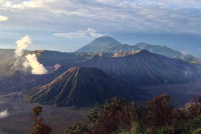Explore volcano Bromo - start Surabaya // 2 days 1 night - Ngadisari, Kalikajar (Cemara Lawang area): coffee, farmers, and caldera-edge views