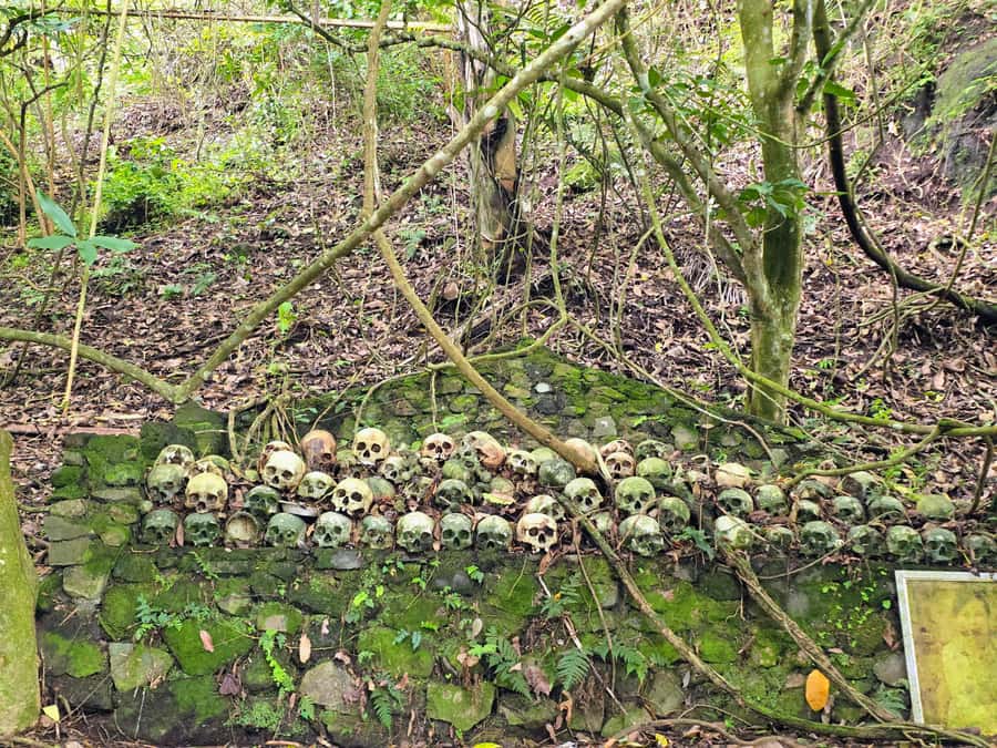 Exploring Trunyan Cemetery - Tips for a Smooth, Respectful Visit