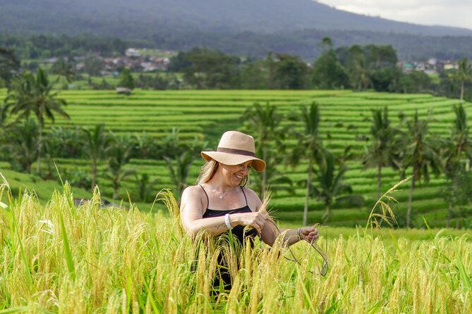 Exquisite UNESCO World Heritage Sites in Bali - A realistic look at timing, pace, and how not to waste the day
