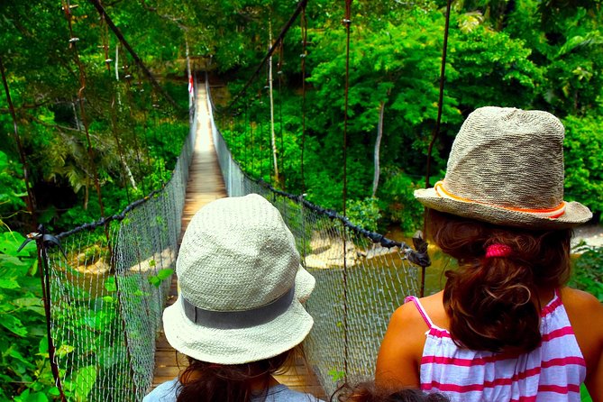 FAMILY JUNGLE TOUR: Orangutan Trek (4-hours hike) by EcoTravel Bukit Lawang - What you’re actually paying for: value beyond the wildlife idea