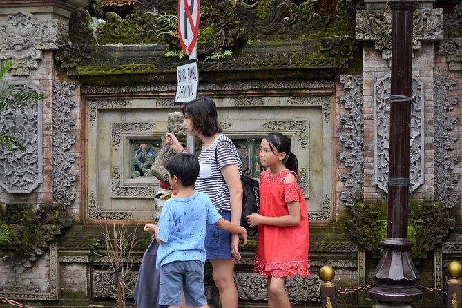 Famous Ubud villlage and Dance Tour with Rice Terrace And Waterfall Visit - Why this itinerary works (and where it might feel tight)