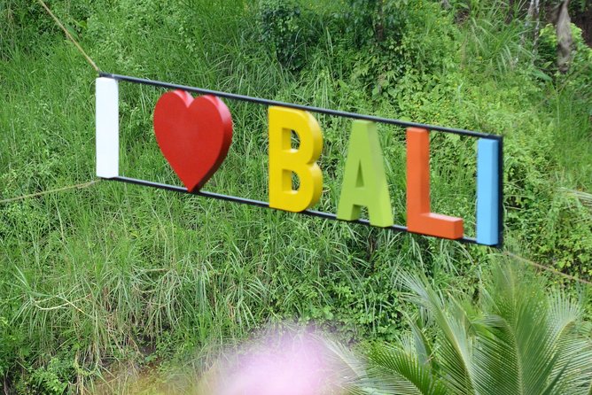 Famous Ubud villlage and Dance Tour with Rice Terrace And Waterfall Visit - Who should book this Ubud tour?
