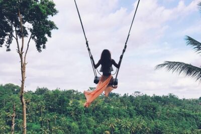 Fantastic Ubud Tour with Jungle Swing - Getting around Ubud in a private AC vehicle