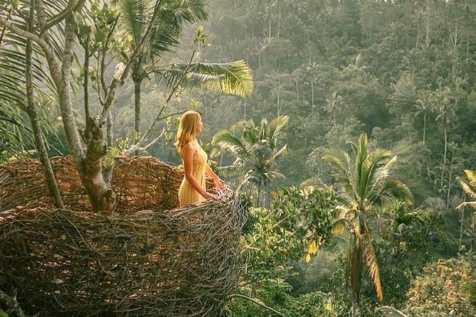 Fantastic Ubud Tour with Jungle Swing - Stop 4: Tegalalang Rice Terrace viewpoints (without overspending your time)