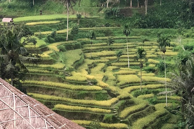 Farmer market, waterfalls, holy spring - All Inclusive - Kanto Lampo waterfall: the moment you should bring a change of mindset