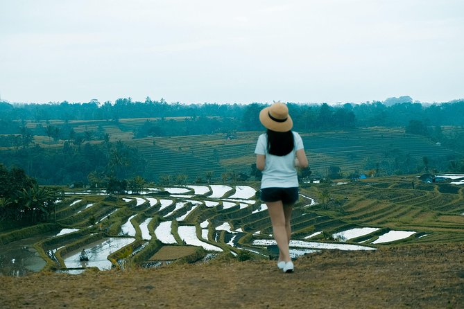 Fascinating UNESCO Site Tour in Bali - A smooth Bali day: pickup, AC comfort, and a real plan
