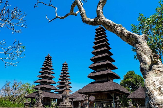 Fascinating UNESCO Site Tour in Bali - Who should book this Bali UNESCO sights tour
