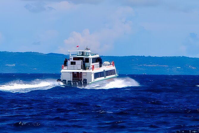 Fast Boat Transfer Bali to Gili & Lombok + Private Hotel Pick-up - Timing tips: choosing the morning vs afternoon crossing