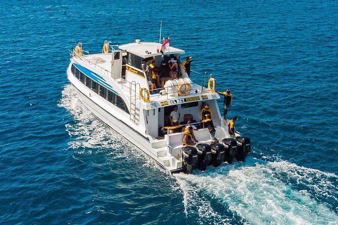 Fast Boat Transfer: Sanur to Nusa Penida by Penidago - Check-in and the WhatsApp meeting point that prevents chaos