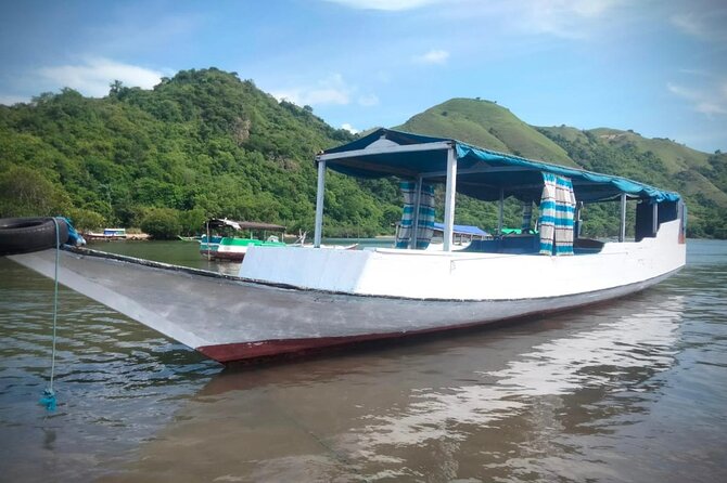 Flying Fox Island Sunset Cruise Private Boat Charter Labuan Bajo - At the Island: Watching Tens of Thousands of Flying Foxes