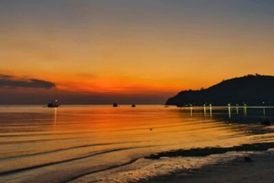 Flying Fox Sunset Cruise Private Boat Charter Labuan Bajo - Meet the bats: what you’re really seeing at dusk