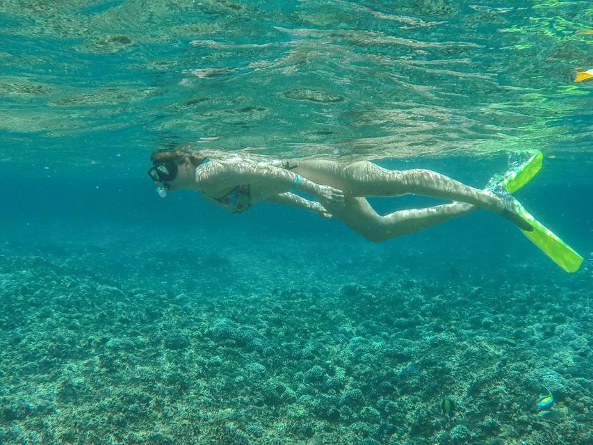 From Bali: 2-Day Nusa Penida and Lembongan Complete Tour - Price and logistics: why $265 feels fair if you use the included value