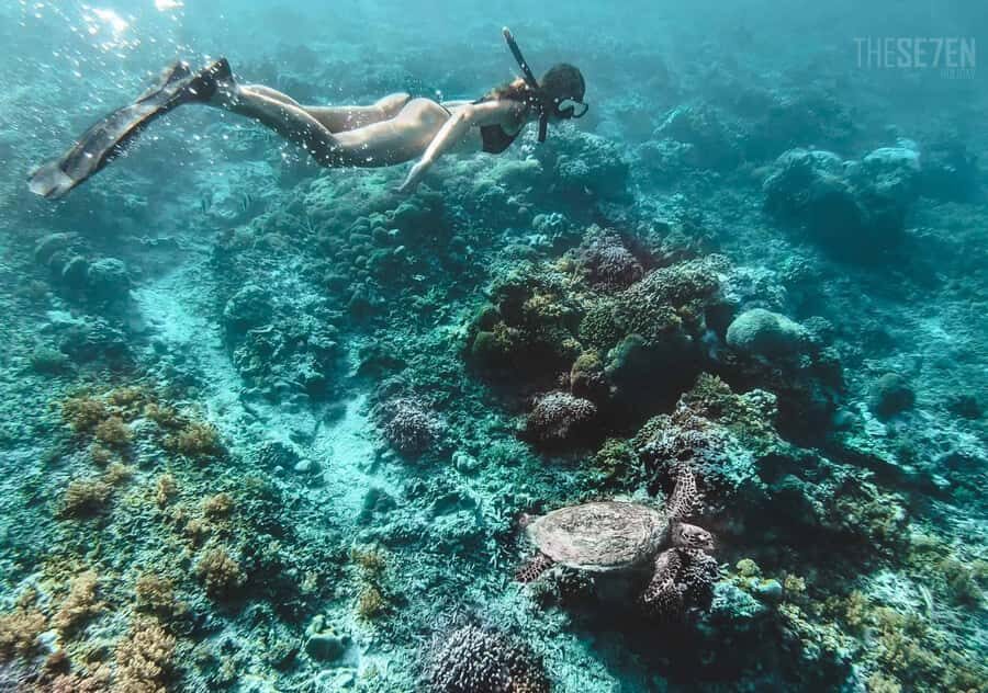 From Bali: 2-Day Private Gili Island Snorkel Tour with Hotel - The first evening: beachfront time on Gili Trawangan
