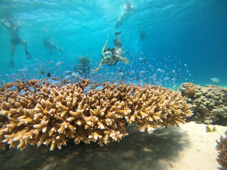 From Bali: 2D1N Gili Island Private Snorkel Boat with Hotel - Day 1 on Gili Trawangan: beaches, bikes, pubs, and your first calm hours