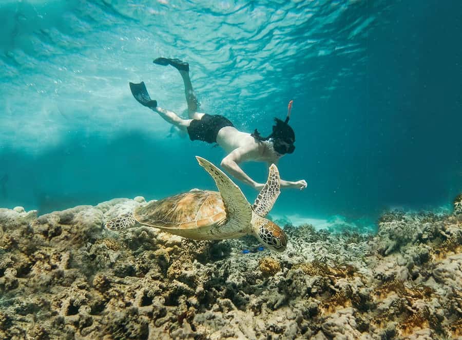 From Bali: 2D1N Gili Island Private Snorkel Boat with Hotel - Gili Island time after snorkeling: shower, change, then do your own thing