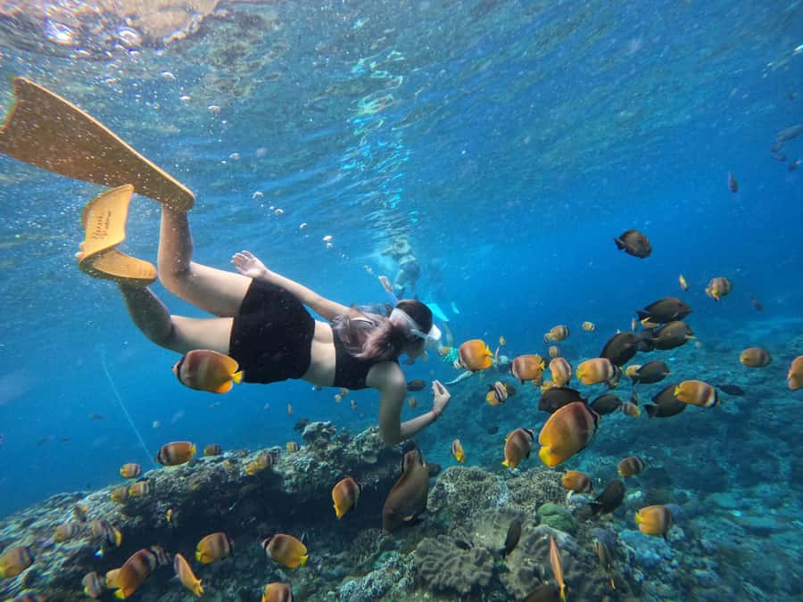 From Bali: 3 Snorkeling Spots Tour to Lembongan and Penida - Snorkeling the reefs: three spots built for coral, fish, and turtle searches
