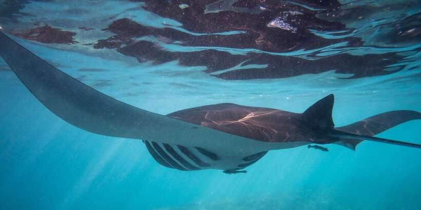 From Bali: 4-Day Surf and Yoga Retreat in Nusa Lembongan - Speedboat from Bali to Lembongan: the island-holiday effect