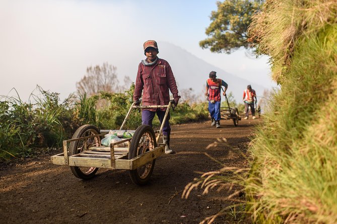 From Bali : Bromo & Kawah Ijen – 3-Day Adventure - Why the price can make sense for this kind of East Java route