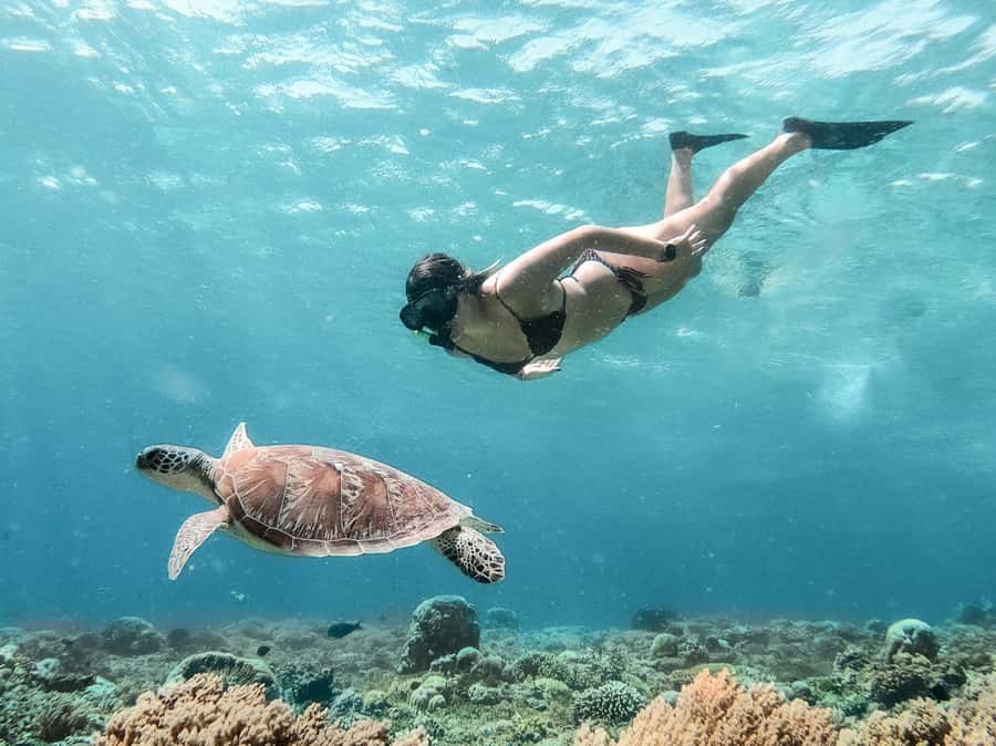 From Bali: Gili Islands Private Snorkeling Day Trip - Key things I think you’ll care about