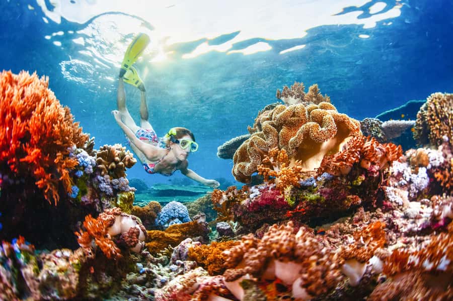 From Bali: Half Day Snorkeling 3 Spots to Lembongan & Penida - Key things I’d clock before you go