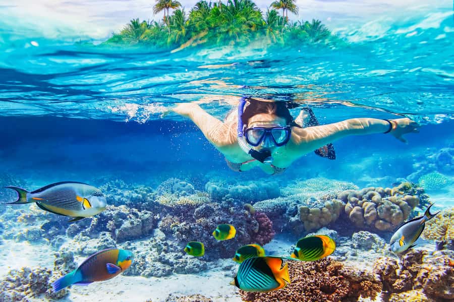 From Bali: Half Day Snorkeling 3 Spots to Lembongan & Penida - Lembongan Watersport and Mangrove Setup: Where You Gear Up