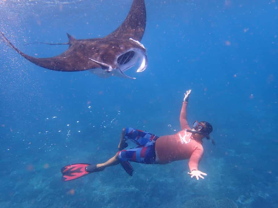 From Bali: Half Day Snorkeling 3 Spots to Lembongan & Penida - Who Should Book This Tour (and Who Should Skip It)