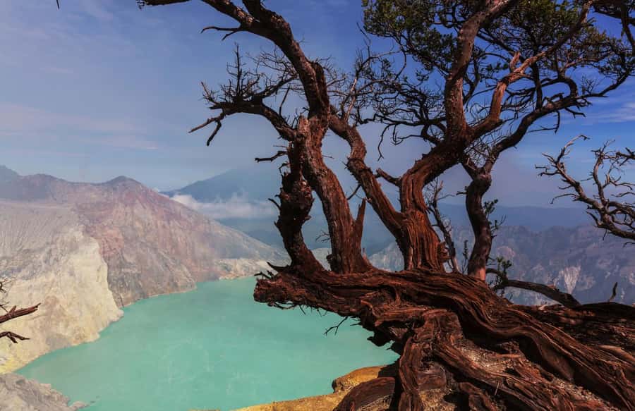 From Bali: Ijen Sunrise Tour with Local Guide & Blue Fire - Who This Tour Suits Best (and Who Should Skip It)