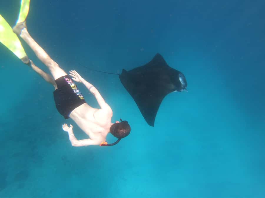 From Bali: Lembongan & Penida 2-Day Tour with Snorkeling - Key points worth knowing