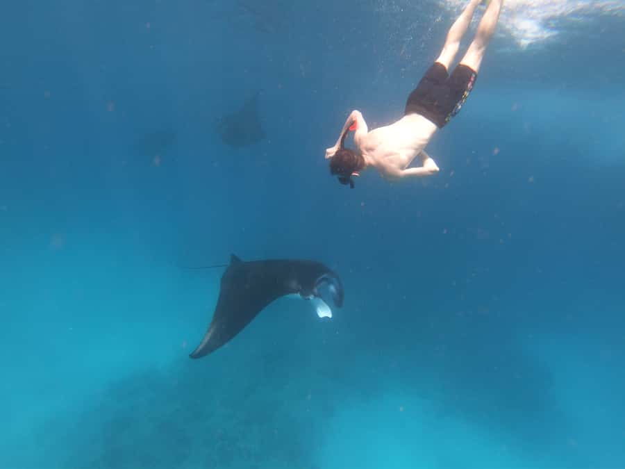 From Bali: Lembongan & Penida 2-Day Tour with Snorkeling - Day 2 starts early: Penida viewpoints, Angel’s Billabong, then mangroves