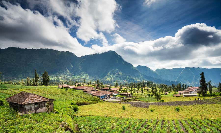 From Bali: Mount Bromo and Blue Fire Ijen Crater 3-Day Tour - Day 2: Ijen crater trek, blue fire viewing at 500 meters, then Bromo Village