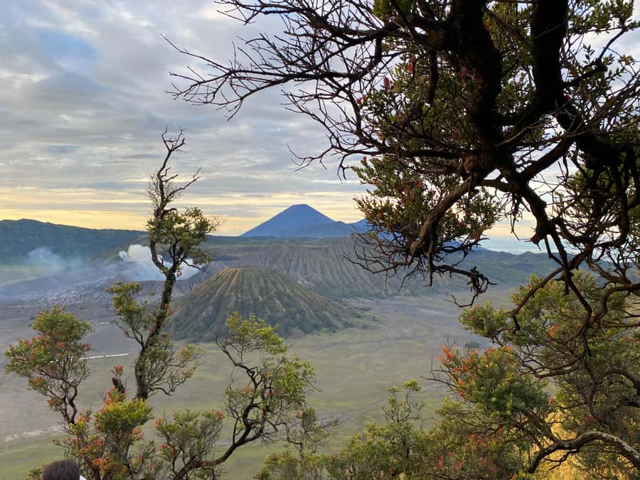 From Bali: Mount Bromo & Ijen volcanic private tour - The Bali-to-Java ferry ride and why it shapes your schedule