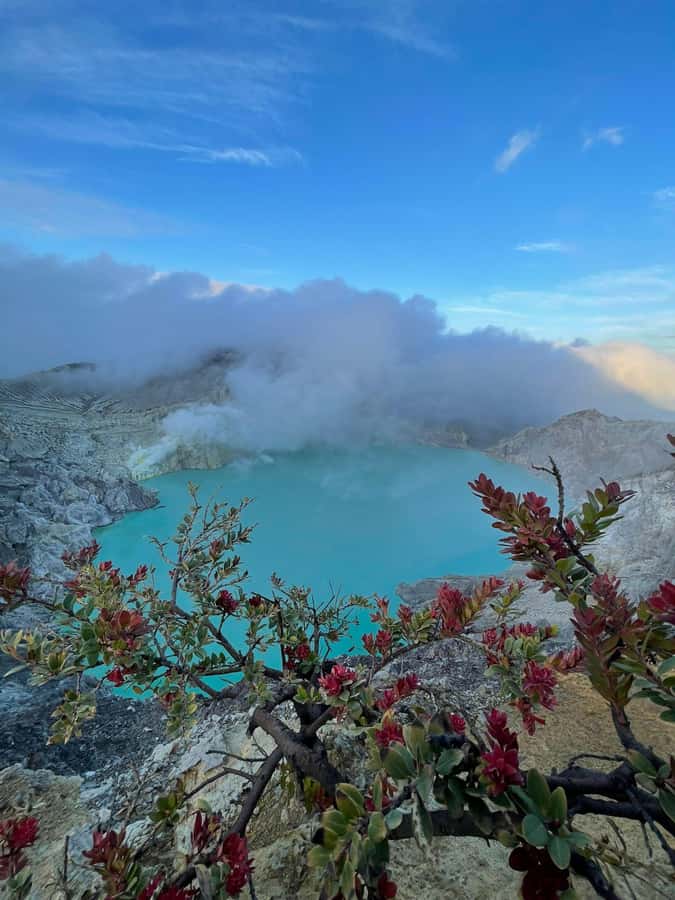 From Bali : Mount Ijen Blue-fire Volcano Tour - The Guide + Gear Setup That Makes the Crater Walk Work