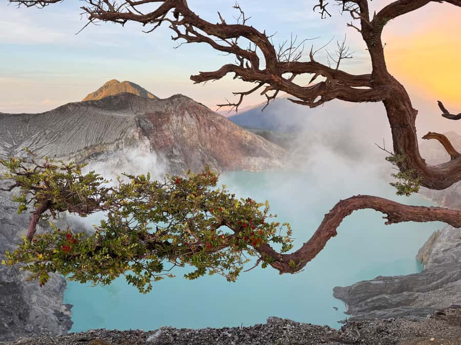 From Bali: Mount Ijen Tour Blue Fire Tour 2D1N, Hotel - Should You Book Mount Ijen Blue Fire Tour via Bali?