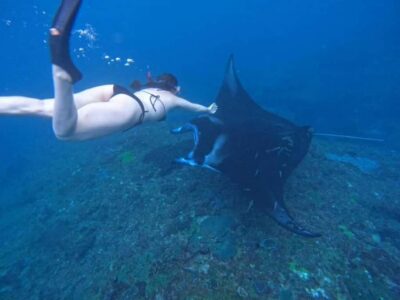 From Bali: Nusa Penida 3 Spots Snorkeling Tour With Guide - From Bali to Nusa Penida: the day rhythm starts early