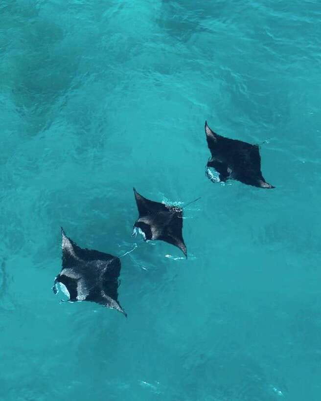 From Bali: Nusa Penida Day Tour & Snorkeling - Where You Snorkel Can Change: Weather, Open Sea, and Manta Reality