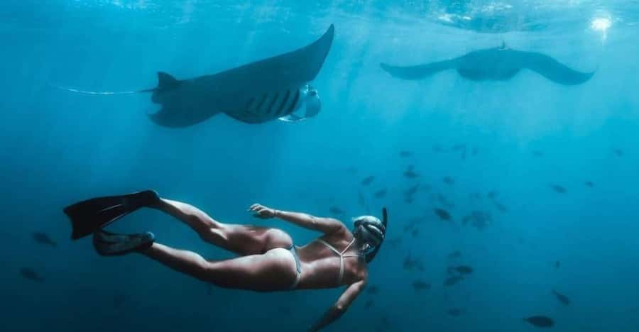 From Bali: Nusa Penida Full Day Private Snorkeling Tour - The Manta Bay swing: the odds, the payoff, and why your guide matters