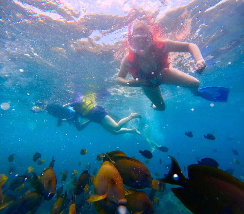From Bali: Nusa Penida Full Day Tour and Snorkeling 3 Spots - Key highlights I’d plan around
