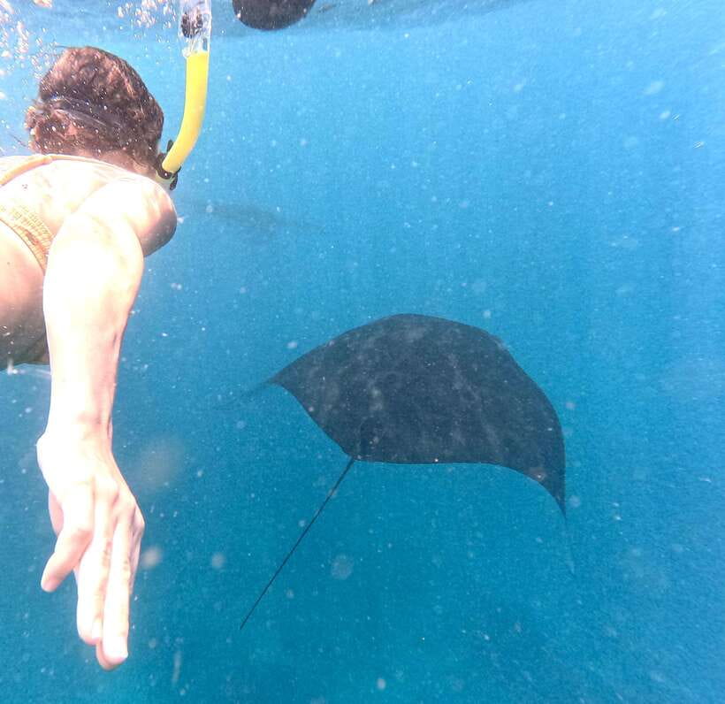 From Bali: Nusa Penida Full Day Tour and Snorkeling 3 Spots - The snorkeling plan: 3 spots, turtles, and manta rays (when conditions cooperate)