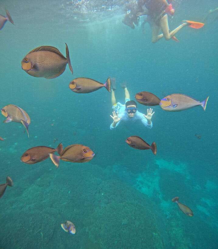 From Bali: Nusa Penida Full Day Tour and Snorkeling 3 Spots - Private-boat vs small-group snorkeling: which option makes sense for you?