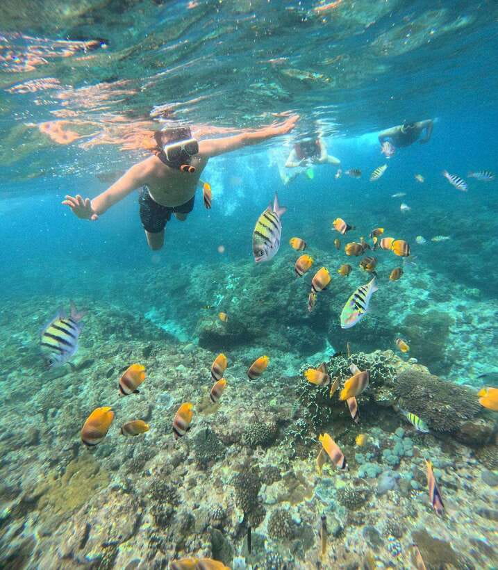 From Bali: Nusa Penida Full Day Tour and Snorkeling 3 Spots - Who should book this Nusa Penida full-day tour—and who should skip it