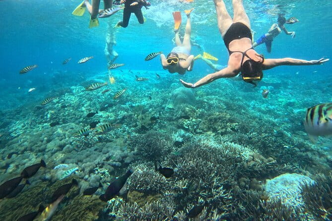 From Bali: Nusa Penida Full Day Tour and Snorkeling - Broken Beach and Angel’s Billabong: How the Rock Creates the Drama