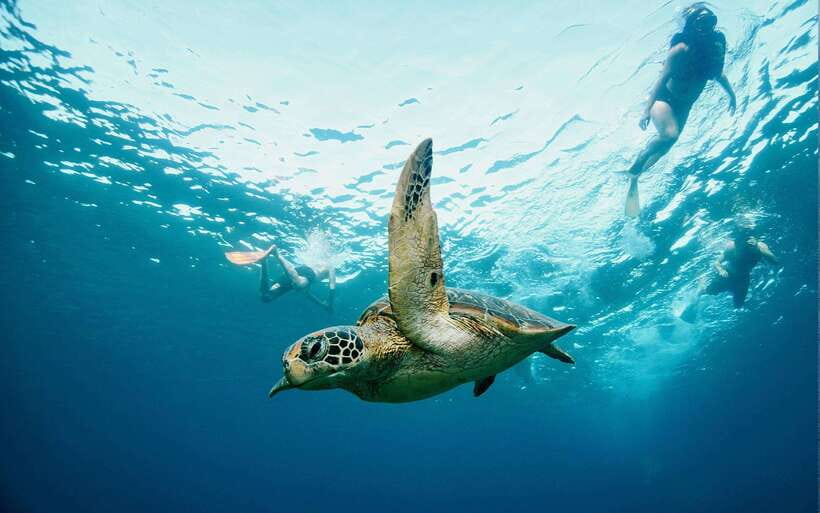 From Bali: Nusa Penida Private Snorkeling Tour with Lunch - Safety, guide care, and how the tour handles weather