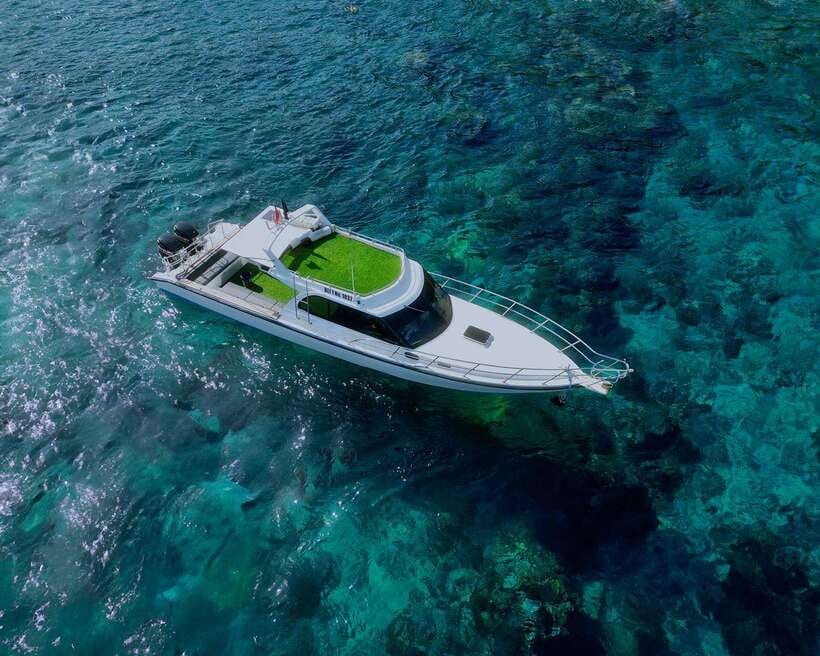 From Bali: Nusa Penida Private Snorkeling Tour with Lunch - Manta Bay or Manta Point: your first real shot at manta rays