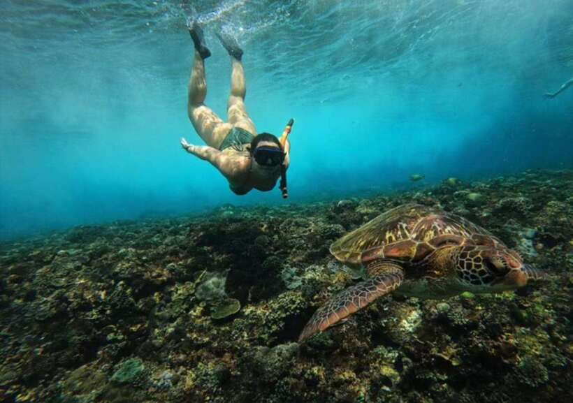 From Bali: Nusa Penida Snorkeling and West Coast Tour - Key points before you go