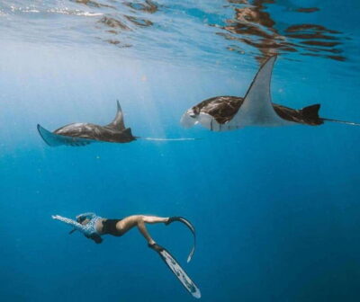 From Bali: Nusa Penida Snorkeling and West Coast Tour - Price and what you’re actually getting for around $29