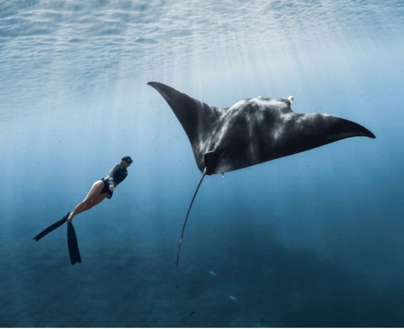 From Bali: Nusa Penida Snorkeling and West Coast Tour - Kelingking Beach (T-Rex Beach): where your camera earns its keep