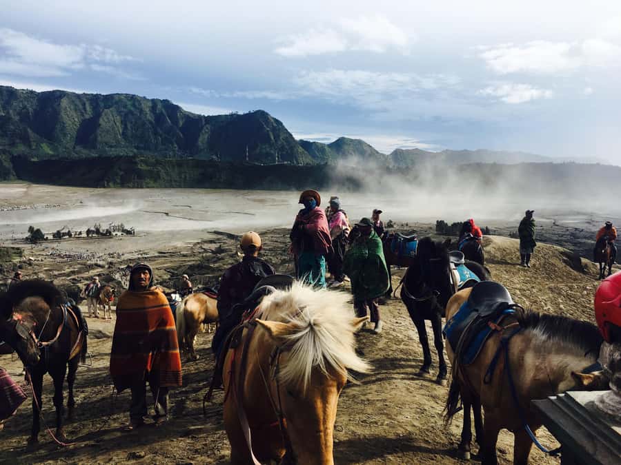 From Bali or Java: Bromo & Kawah Ijen – 3-Day Adventure - Who This Tour Fits Best (and Who Should Skip It)