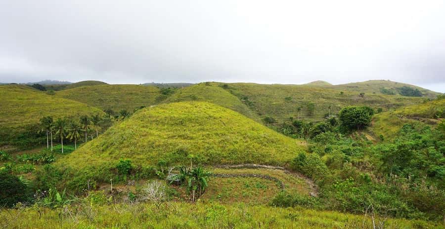 From Bali: Private East Nusa Penida Highlights Day Tour - Teletubbies Hill: greenery and calm after the cliffs